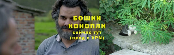 ешки Тайга